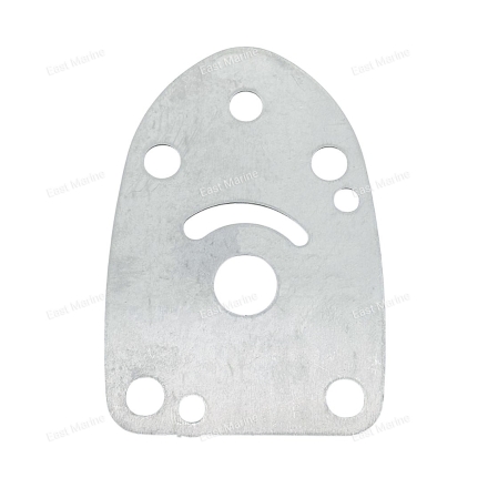 Пластина помпы  F2.6B       F2.6-03000010