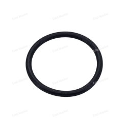 Кольцо уплотнительное  93210-19MJ1