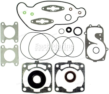 Прокладки, к-т полный, Polaris 600, 700  CFI (07-08)  09-711298