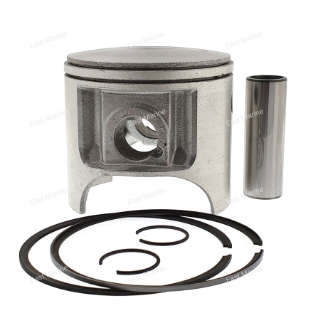 Поршень Polaris 700, 1050, 0.5, 010-832-05