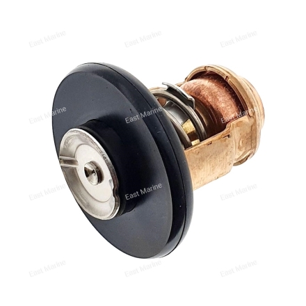 Термостат F20F, F20G, F25G          6FM-12411-00