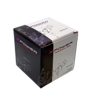 Поршень, к-т, стд, Polaris 340          09-709