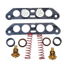 Термостаты (2 шт), к-т, Johnson V4 дефлекторный       13270