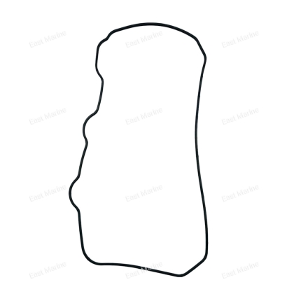 Прокладка крышки головки F40      F40-05000002