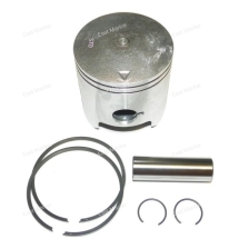 Поршень Polaris 750, 0.25, 010-830-04