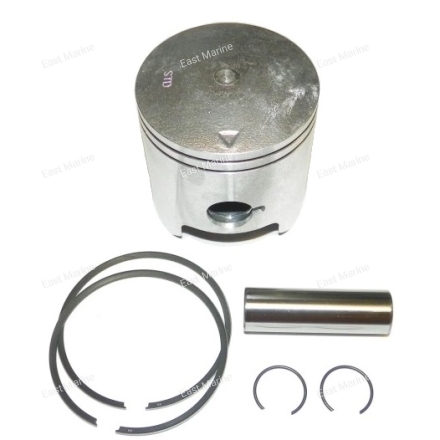 Поршень Polaris 750, 0.25, 010-830-04