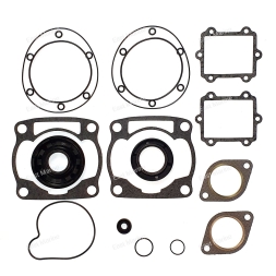 Прокладки, к-т полный Arctic Cat 600  Powder Special, ZL, ZR