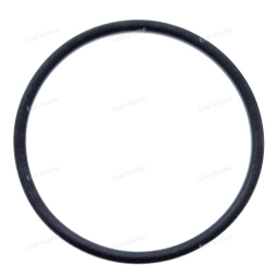 Кольцо уплотнительное  93210-64297
