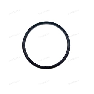 Кольцо уплотнительное  93210-13M04