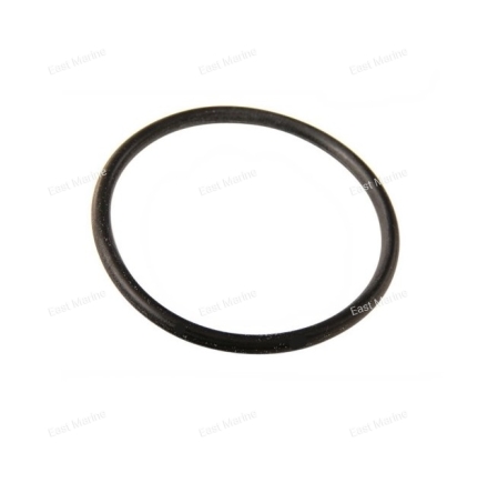 Кольцо уплотнительное стакана фильтра                93210-32738