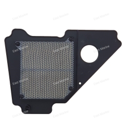 Фильтр воздушный YBR125           5VL-E4450-03