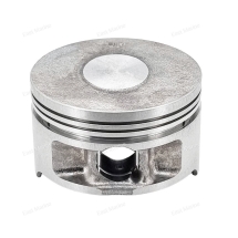 Поршень (стандартный)  F9.9A-F20A                F20-05020001