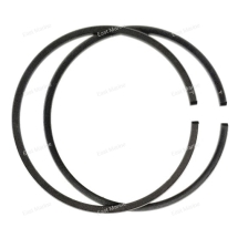 Кольца поршневые 25В (69R2), 30H (69S2), std