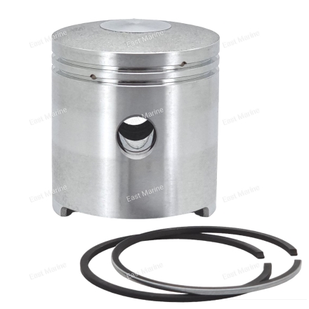 Поршень стд.   2.5-4      T3.6-04020001