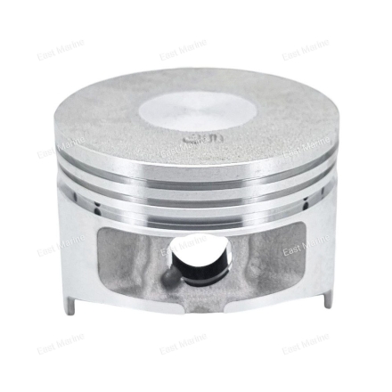 Поршень (стандартный) F4-F5                 F4-04020001