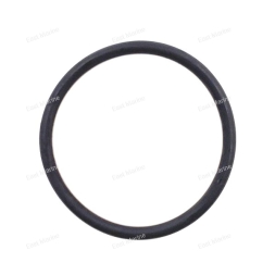 Кольцо уплотнительное                  F25-04050003