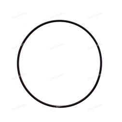 Кольцо крышки масляного фильтра Sea-Doo   420850500