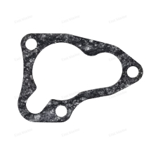 Прокладка под крышку термостата и анода F20-25         6FM-12414-00