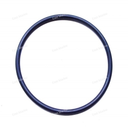 Кольцо уплотнительное   93210-57M09