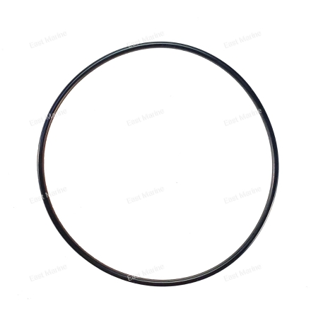 Кольцо резиновое 6E5-43869-00