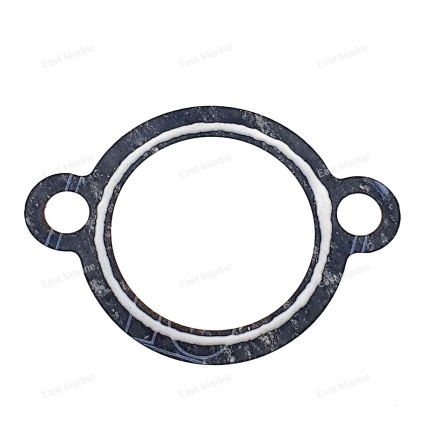 Прокладка натяжителя цепи  4DW-12213-00