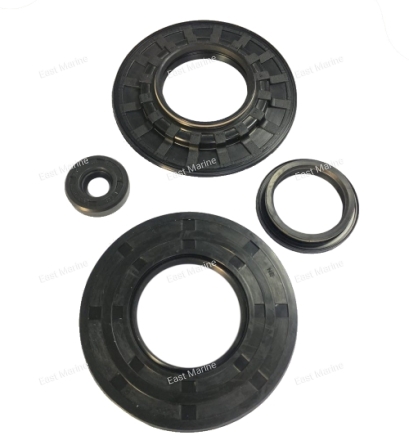 Сальники коленвала (к-т)    Ski Doo  Formula Deluxe, Grand Touring, Legend, MX Z, Summit