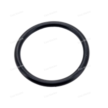 Кольцо уплотнительное                    20F-06.00.00.09