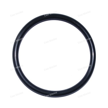 Кольцо уплотнительное   93210-66M98