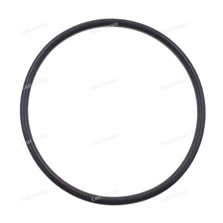 Кольцо уплотнительное    93210-40659