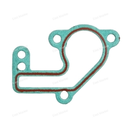 Прокладка крышки термостата T9.9-T18, TE9.9-TE15    T15-04000003