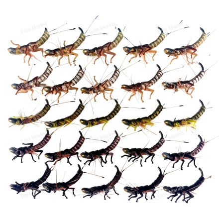 Муха донная Переколомина драйв в ассортименте №06 Kumho