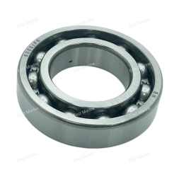 Подшипник шариковый T20-T30, F25    GB/T276-6006/P6